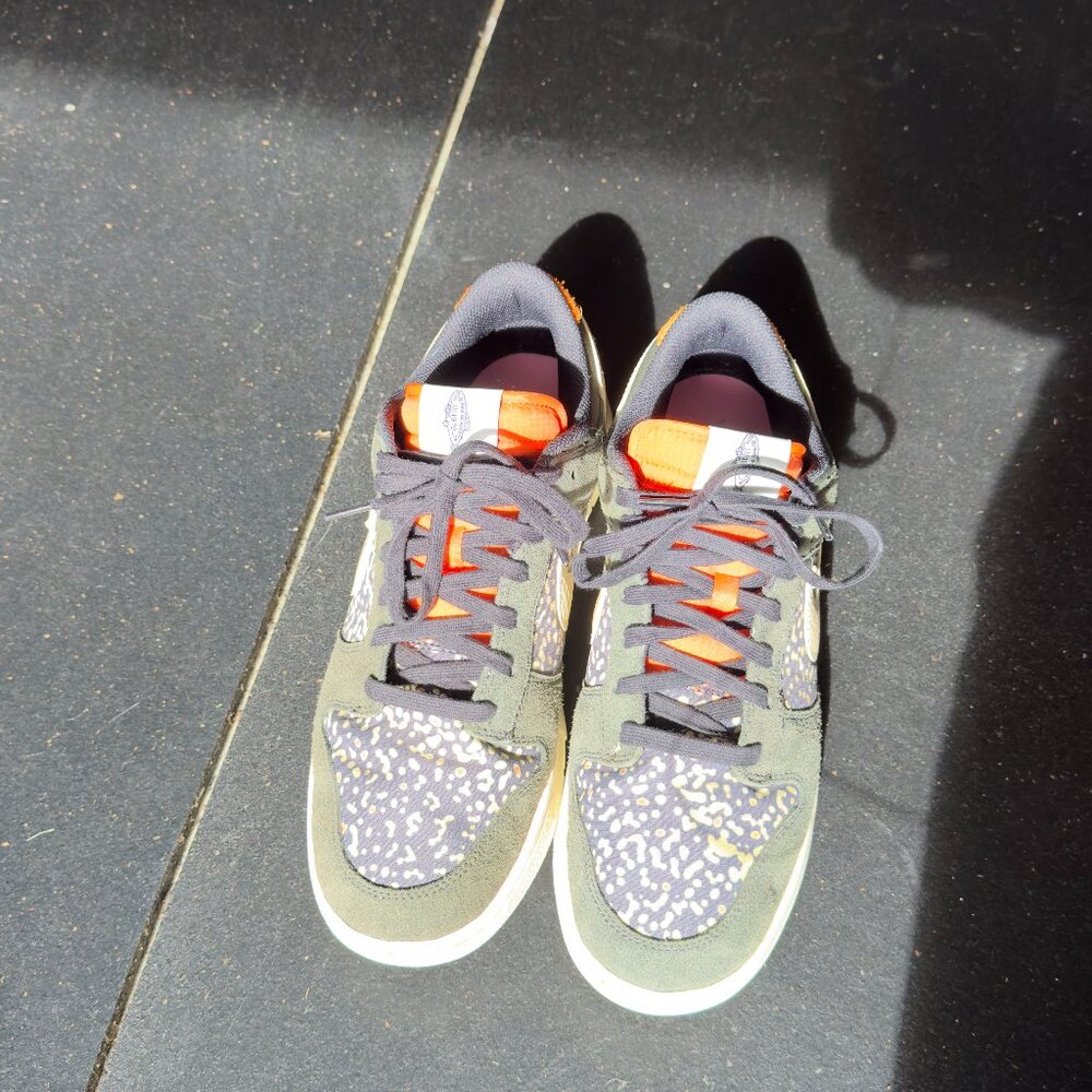 Nike Dunk Rainbow Trout Mens size 12